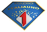 Radio Italia Uno (Torino)