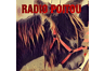 Radio Poitou