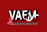 VAFM
