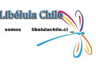 Libelula Chile 3