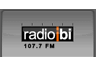 Radio Ibi