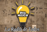 Idea Musical