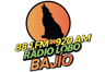 Radio Lobo Bajío (Celaya)