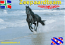 Zeepaardteam