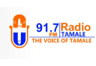 Radio Tamale