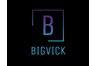 Bigvick Radio