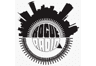 Rogue Radio