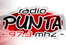 Radio La Punta FM