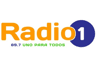 Radio Uno FM (Viedma)