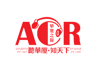 ACR Chinese Radio