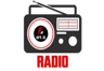 Narshingbari Radio