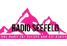 Radio Seefeld