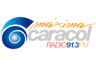 Máxima Caracol Radio