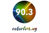 Emisora Color FM (Cardona)