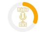 Rádio DVS Web