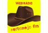 Sertanejo FM