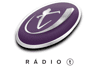 Rádio T FM (Telêmaco Borba)