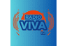 Rádio Viva FM (São Gonçalo)