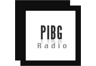 PIBG Radio (Guayanilla)