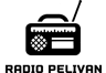 Radio Pelivan