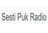 Sesti Puk Radio