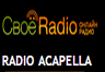 СвоёRadio Acapella