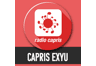Radio Capris Exyu