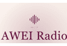 AWEI Radio