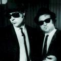 BLUES BROTHERS FEAT. CAB CALLOWAY - Shake a Tail Feather (feat. Ray Charles)
