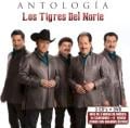 Los Traileros Del Norte - Ave de paso