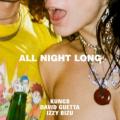kungs ft david guetta & izzy bizu - All Night Long