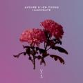 Avoure & Jem Cooke - Illuminate (Extended Mix)