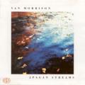 Van Morrison - Have I Told You Lately That I Love You