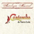 Cardenales De Nuevo León - Amor Chiquito