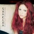 Shakira - No Creo - En Vivo
