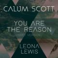 Calum Scott - You Are The Reason - Duet Version