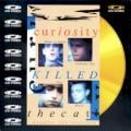 CURIOSITY KILLED THE CAT - Ordinary Day