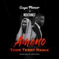Goya Menor, Nektunez - Ameno Amapiano Remix (You Wanna Bamba) - Todd Terry Remix