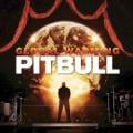 Pitbull - Feel This Moment