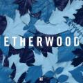 ETHERWOOD - Cast Away