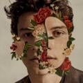 Shawn Mendes - Señorita