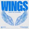 Armand Van Helden - Wings (I Won't Let You Down)