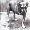 ALICE IN CHAINS - Heaven Beside You