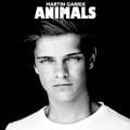 Martin Garrix - Animals - UK Radio Edit