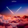 Kygo feat. Ava Max - Whatever (Tiësto remix)