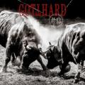 Gotthard - Another Last Time