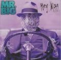 Mr. Big - Take Cover - Remastered