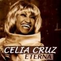 Celia Cruz - Usted Abusó