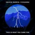 calvin harris ft rihanna - This Is What You Came For