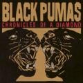 Black Pumas - Mrs. Postman
